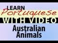 Learn Brazilian Portuguese with Video - Australian Animals