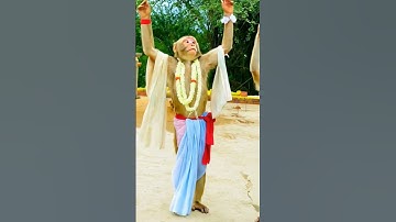 brindavana pyara Vrindavan hare Krishna bolo #ai #monkey #trending #shortvideos 🥰🙏
