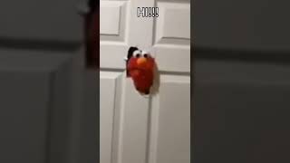 Ahhhh... Hi!!! #shorts  #clips  #memes  #elmo