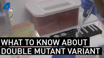 What to Know About the Coronavirus Double Mutant Variant | NBCLA