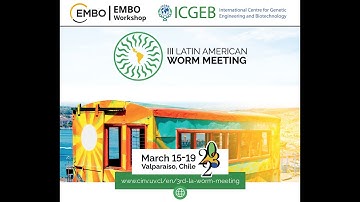 What is aging? Lessons from 𝐶. 𝑒𝑙𝑒𝑔𝑎𝑛𝑠 | III LAWM | David Gems