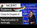 NCERT Class 8 Science Chapter 9: Reproduction in Animals | English | CBSE