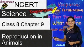 NCERT Class 8 Science Chapter 9: Reproduction in Animals | English | CBSE -  YouTube