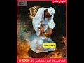 كشف للعيش قال العيش ده ما بكفيني والله اكسبلور دويتو المراه اهميه تيك توك التغطيه