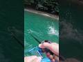 【バス釣り】秘境の湖で釣り上げた魚はどれだけでかいのか測ってみた結果！ #バス釣り #魚釣り
