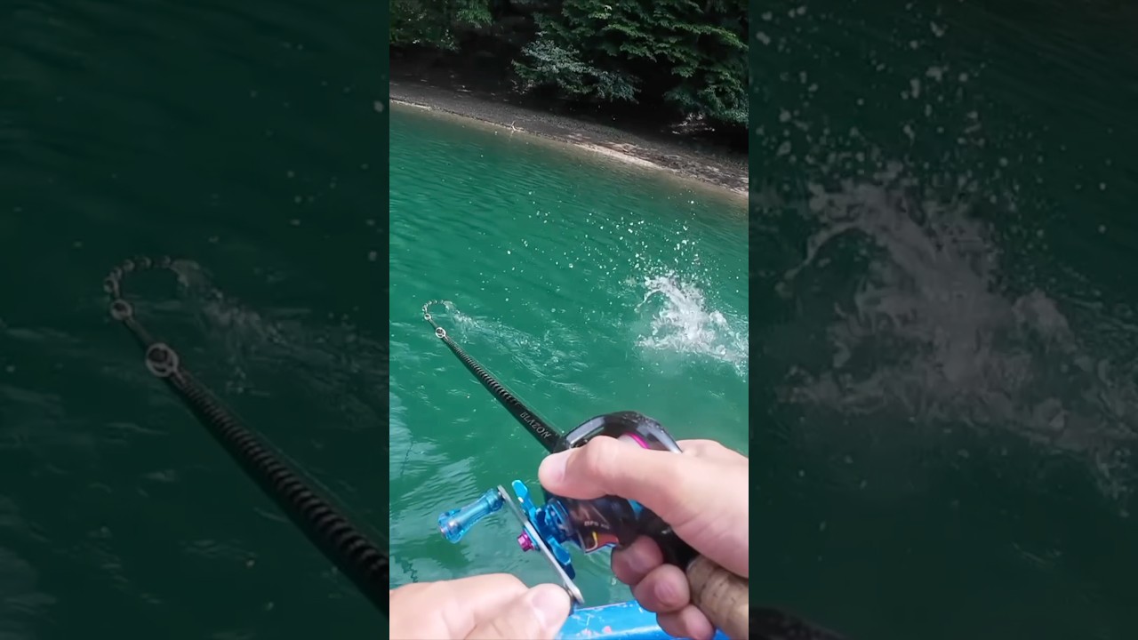 【バス釣り】秘境の湖で釣り上げた魚はどれだけでかいのか測ってみた結果！ #バス釣り #魚釣り