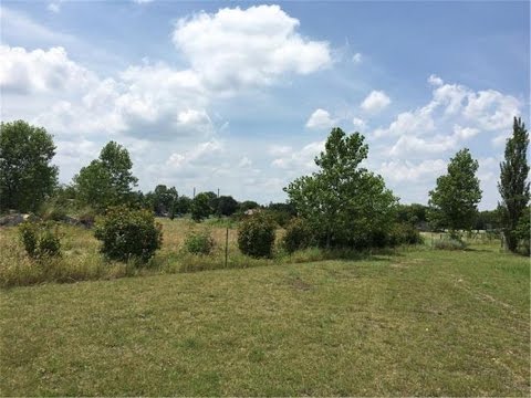 216 Cottontail Ln, Georgetown, TX home video tour
