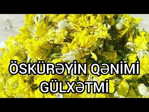 Video: Təqaüdçülər Kimlərdir