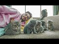 حياتي مع 7 قطط بعد الفوبيا 🐱