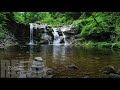 Music for Meditation  Sounds of nature  Deep sleep music