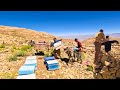 &quot;The Nomadic Family: Uniting to Carry Bee Hives Up the Hill&quot;