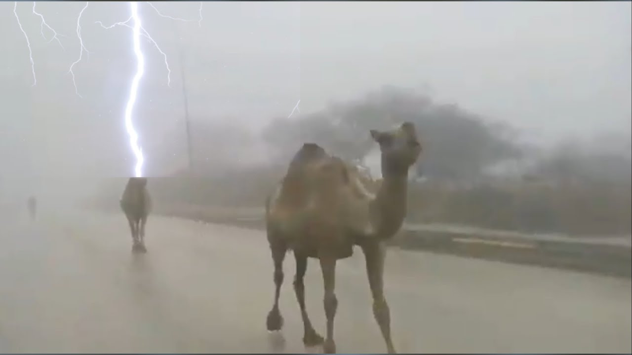 You will not believe ! ⚠️⚡️⚡️ Majestic Clouds and Crazy Storm in the Saudi desert! Taif
