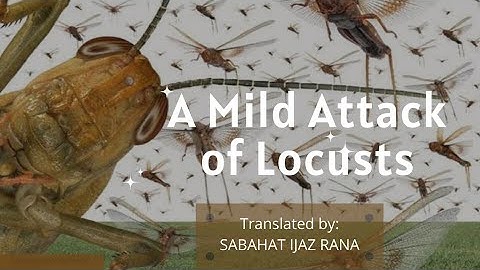 Lesson 10- A Mild Attack Of Locusts