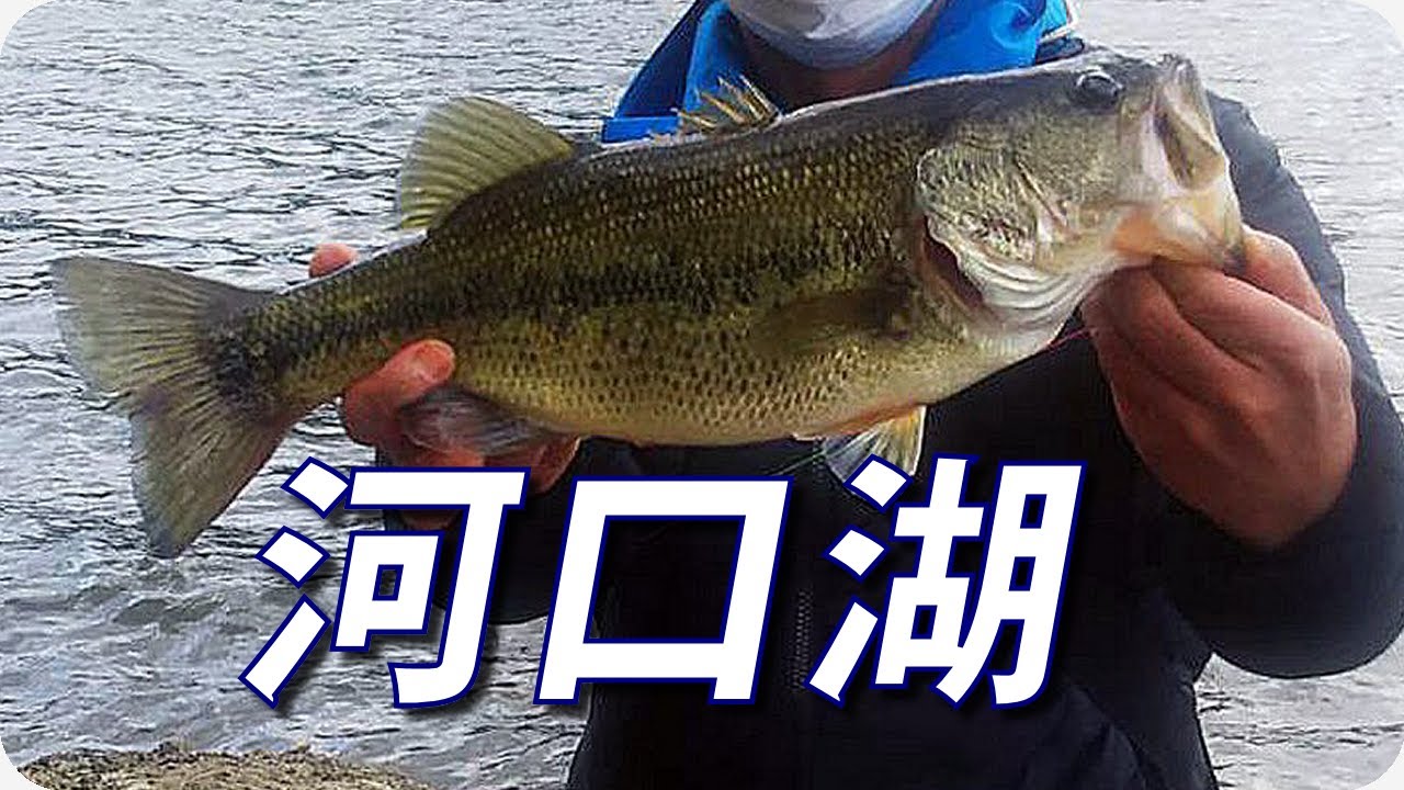 河口湖 バス釣り 初の河口湖 おかっぱり わずか7投目で40upがヒット ルアーキャッチャーが活躍 ヒジリ釣行記 Youtube