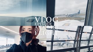 【VLOG#28】ANA Aircraft for International Flights | ANA787の国際線仕様機に乗ってきた