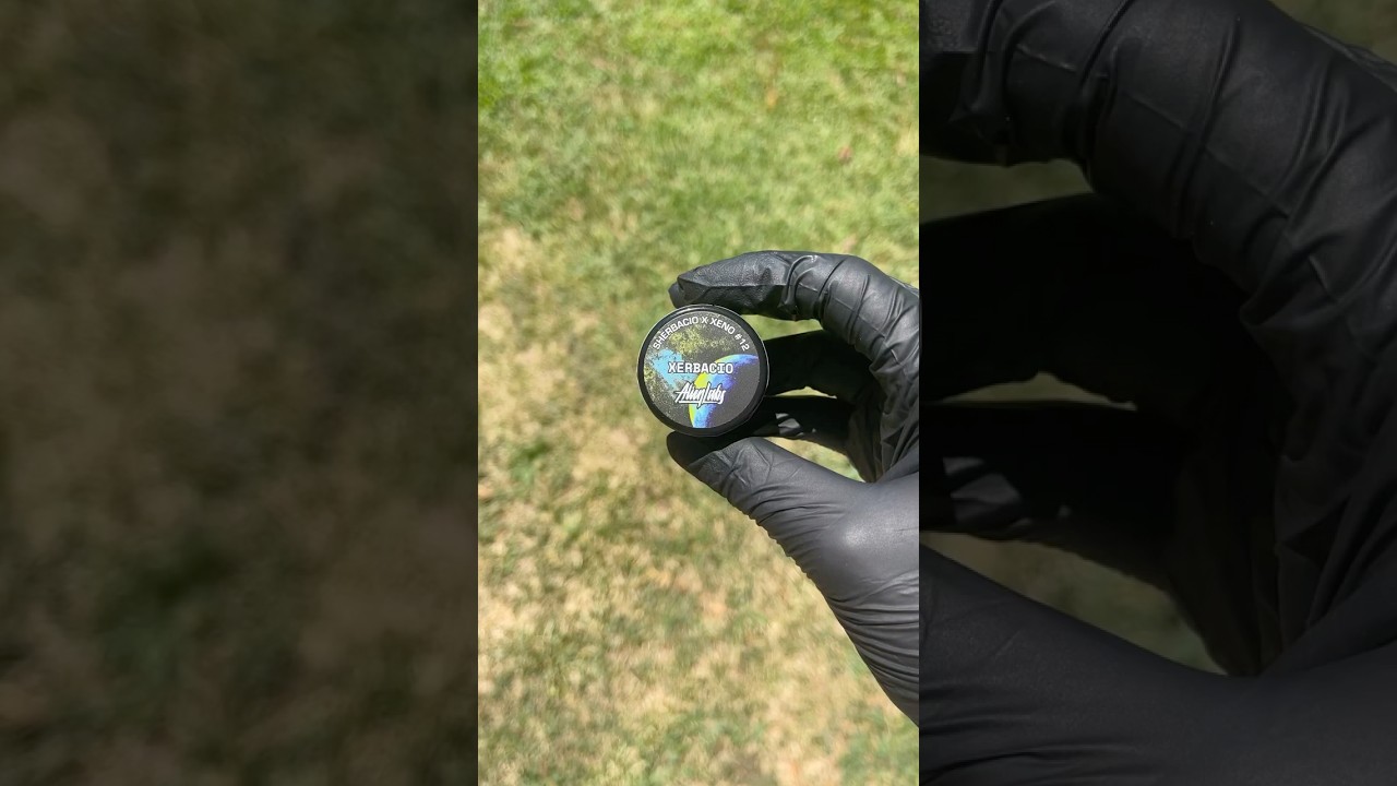 Alien Labs x Kalya Extracts Xerbacio Live Hash Rosin
