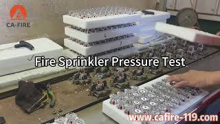 Fire Sprinkler Pressure Holding Test | No Leakage | Quality Inspection