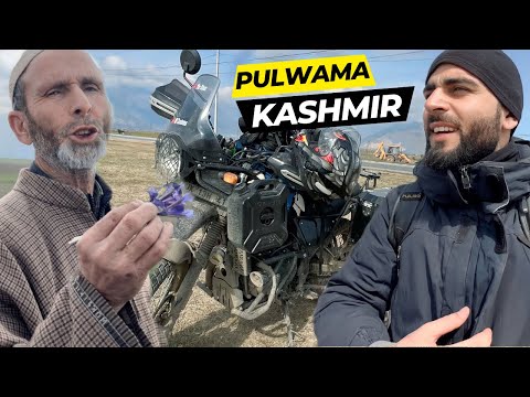 Pulwama Kashmir || Real Face Of Kashmir Ep 20 || The Umar