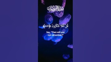 Surah Al-Mu'minun | Yasser Al-Dosari | سورة المؤمنون | ياسر الدوسري