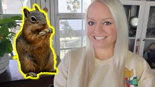 Celebrity Spiritual (Symbolic) Meaning of a Squirrel | Animal Symbols & Omens Net Worth