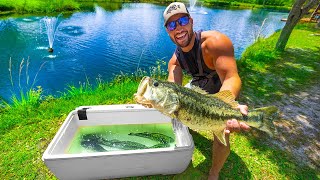 Transferring Largest PET BASS Into NEW Backyard POND!!! (MEGA SCHOOL)