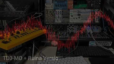 TD3-MO with Ruina Versio Firmware.  Why didn