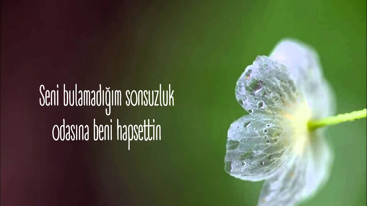 JONGHYUN - Skeleton Flower [Türkçe Altyazılı]