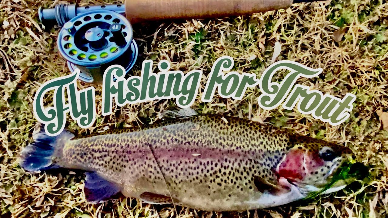 Fly Fishing for Trout Drakensberg ,South Africa Part 2 YouTube