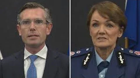 Police Commissioner Karen Webb lies under oath reg...