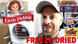 Freeze Dried Little Debbie// Oatmeal Creme Pie, HO HOs, Swiss Rolls, Nutty Buddy