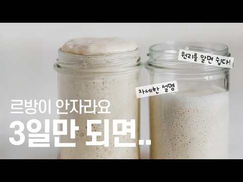 ⚠️르방 3일차, 갑자기 자라지 않는 이유 | 원리를 이해하고 르방, 사워도우, 발효종 만들기 | 르방 리프레시