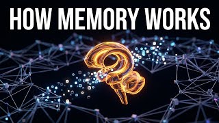 How Your Brain Learns and Forms Memories