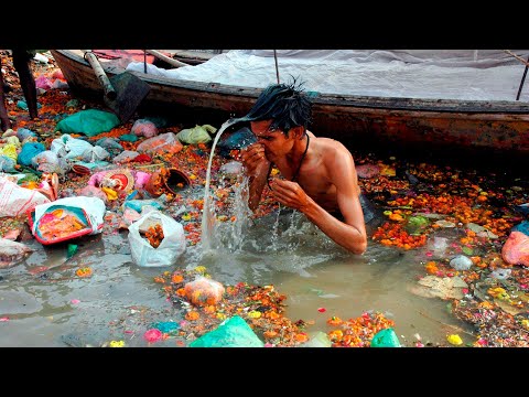 Video: De 10 Mest Populære økologiske Fødevarebutikker I Mumbai