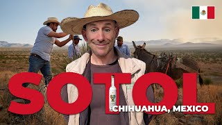 The Story Of Sotol From Chihuahua, Mexico