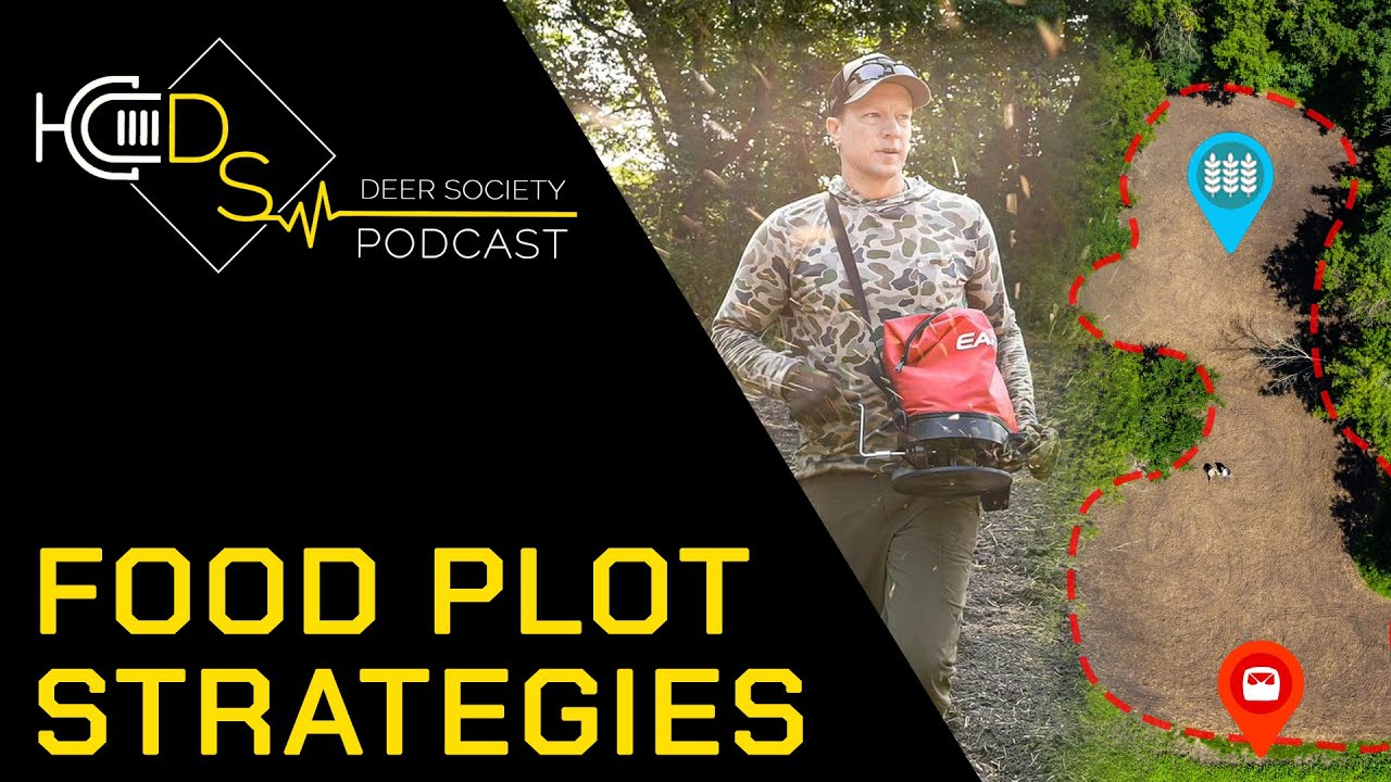 ALL things (Fall) Food Plots WHEN and HOW to plant these varieties