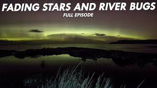 Fading Stars and River Bugs - Great Lakes Now Full Episode - 2303