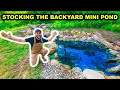 It&#39;s Back! CLEANING and STOCKING My Backyard MINI POND with FISH!!!