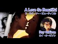 A Love So Beautiful [日本語訳・英詞付き] ロイ・オービソン