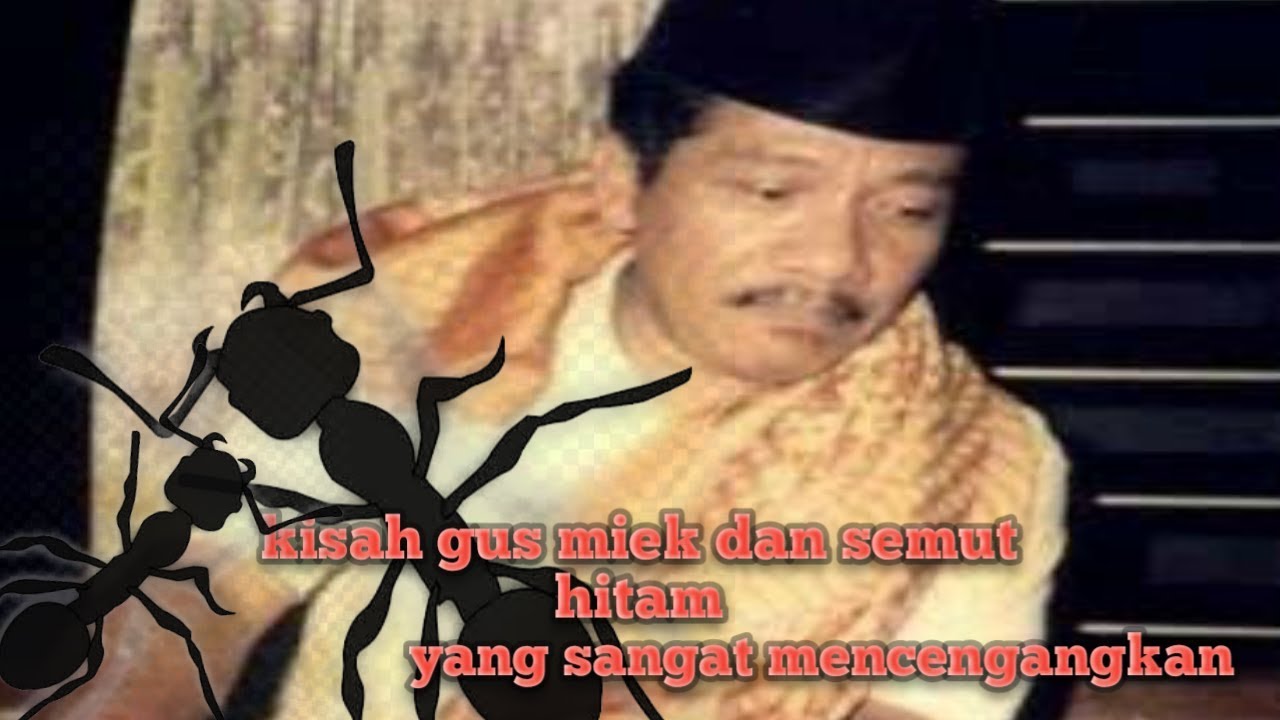 Kisah Karomah Gus Miak!!! Gus Miek Dan Semut Hitam Yanh