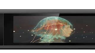 Xppen Artist 12 11.6 Graphics Tablet Drawing Graphic Monitor Animati