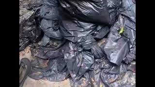 Mac Junk Removal Services Inc.