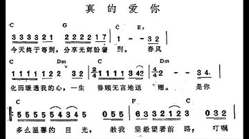真的爱你/真的愛你 C调伴奏 - instrumental in C