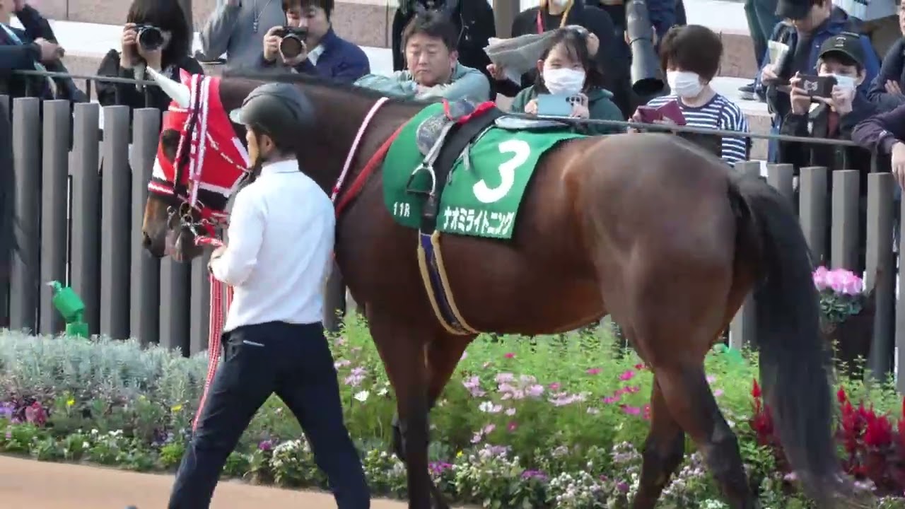 ナオミライトニング　ファンタジーS　パドック、返し馬、スタート、ゴール