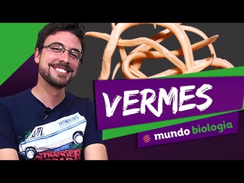 Vídeo: Diferença Entre Platelmintos E Lombrigas