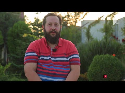 #არტიშოკი დვალების მრავალსულიანი ოჯახის ფერმერობა ნაფეტვრებში