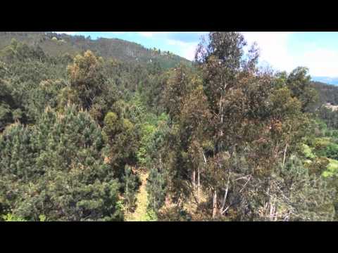 Terreno de Pinhal, Vila Fonche, Arcos de Valdevez