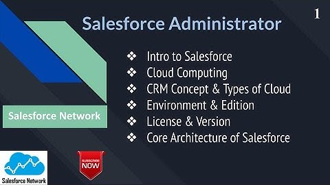 Day 1: Salesforce Introduction, Cloud Computing, CRM Concept, & More