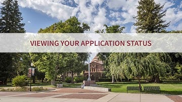 How to Check Your Application Status