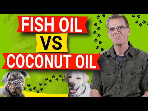 Fish Oil For