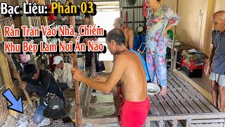 BẠC LIÊU: P3 | Bắt con Rắn ngang nhiên chiếm lấy một khu nhà bếp làm nơi ẩn náo | TGSB #888